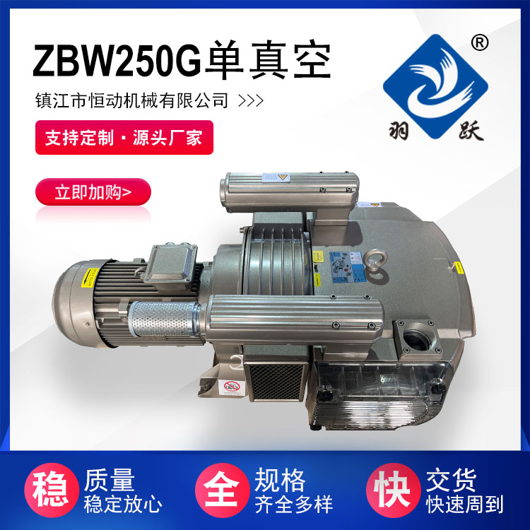 ZBW250G單級(jí)旋片式真空泵